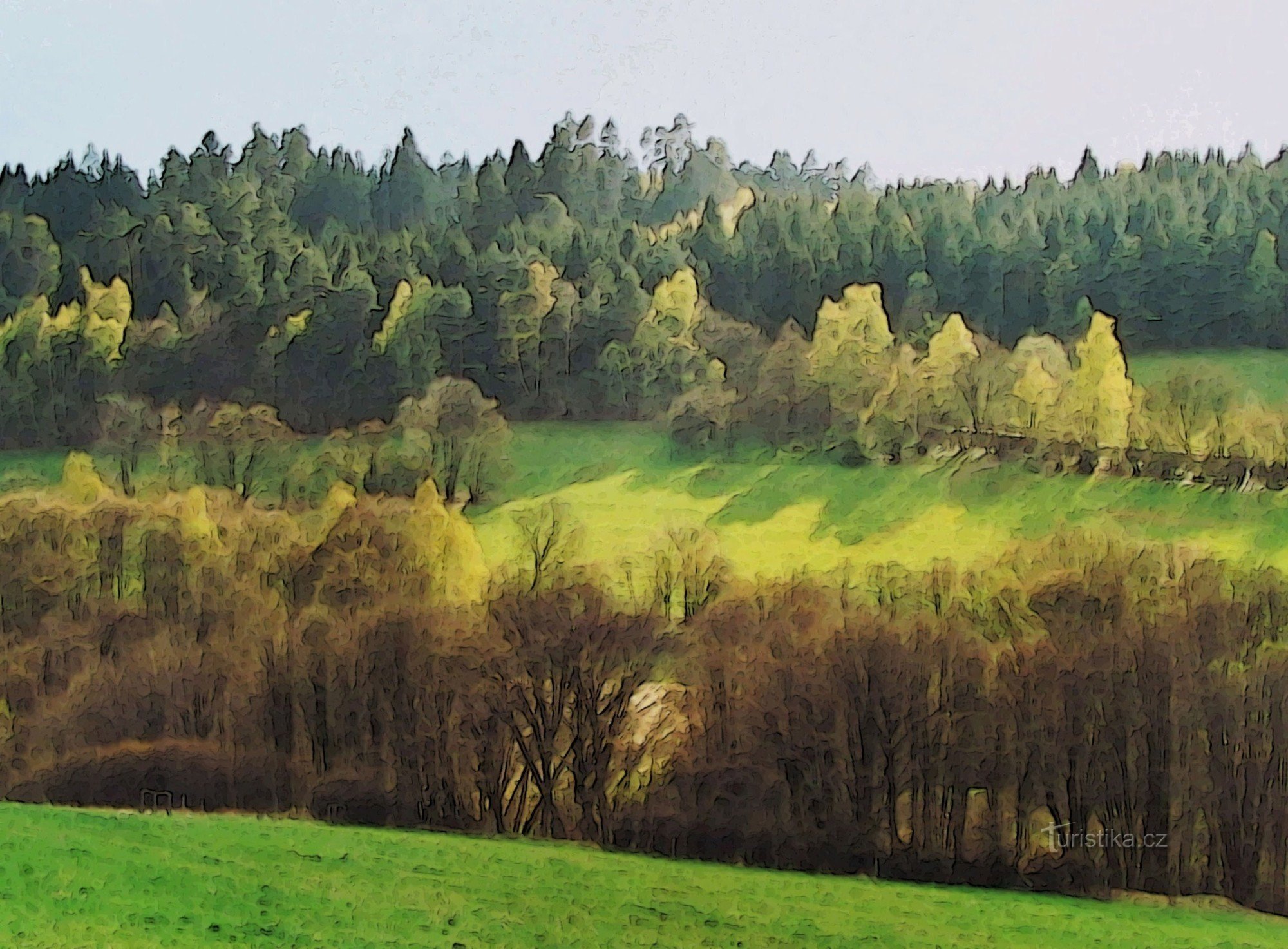 Hinter dem weiß blühenden Safran in Lačnovsko - Retro 2002