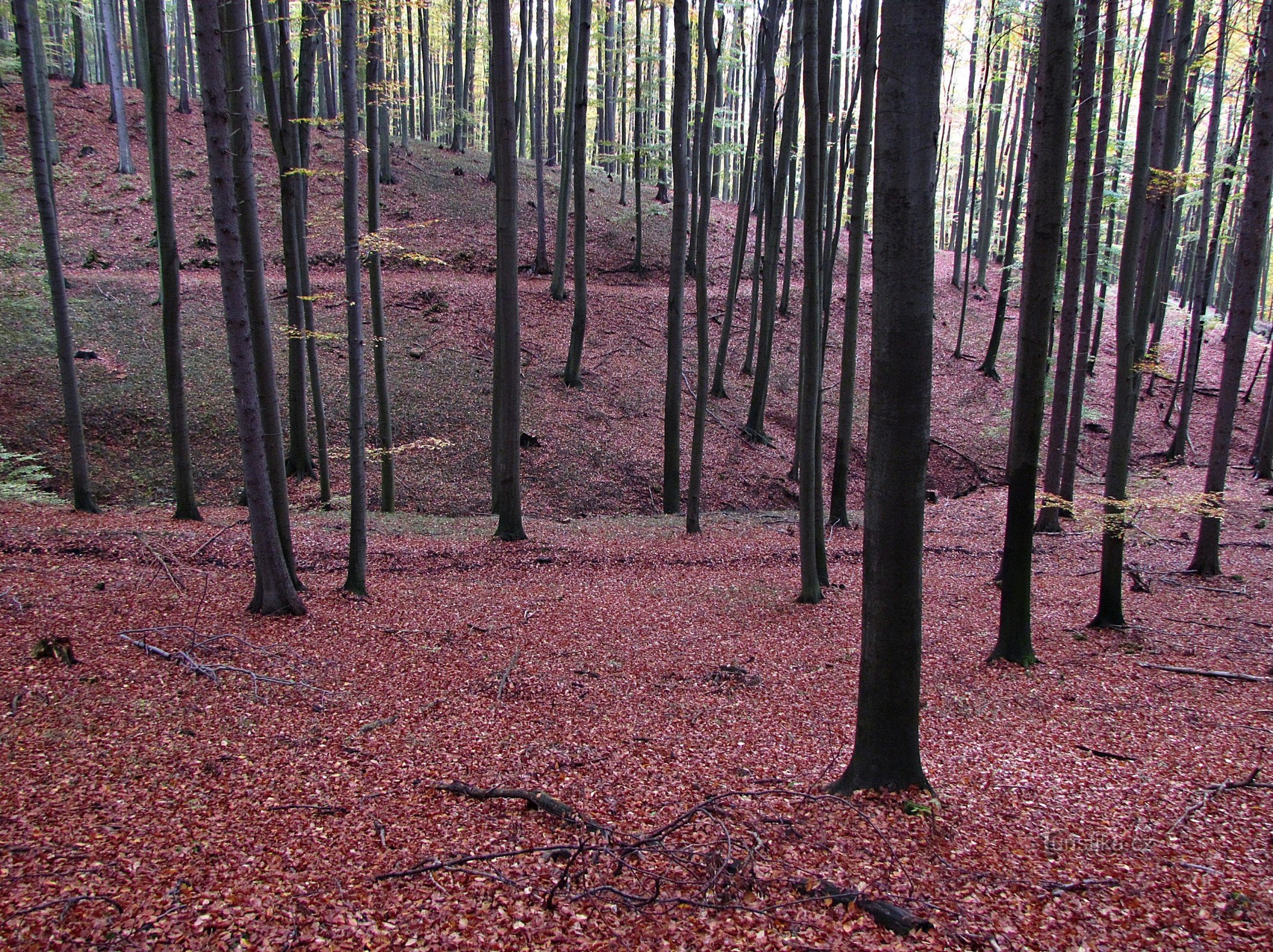 Bakom den steniga hemligheten i Kudlovicka Valley II