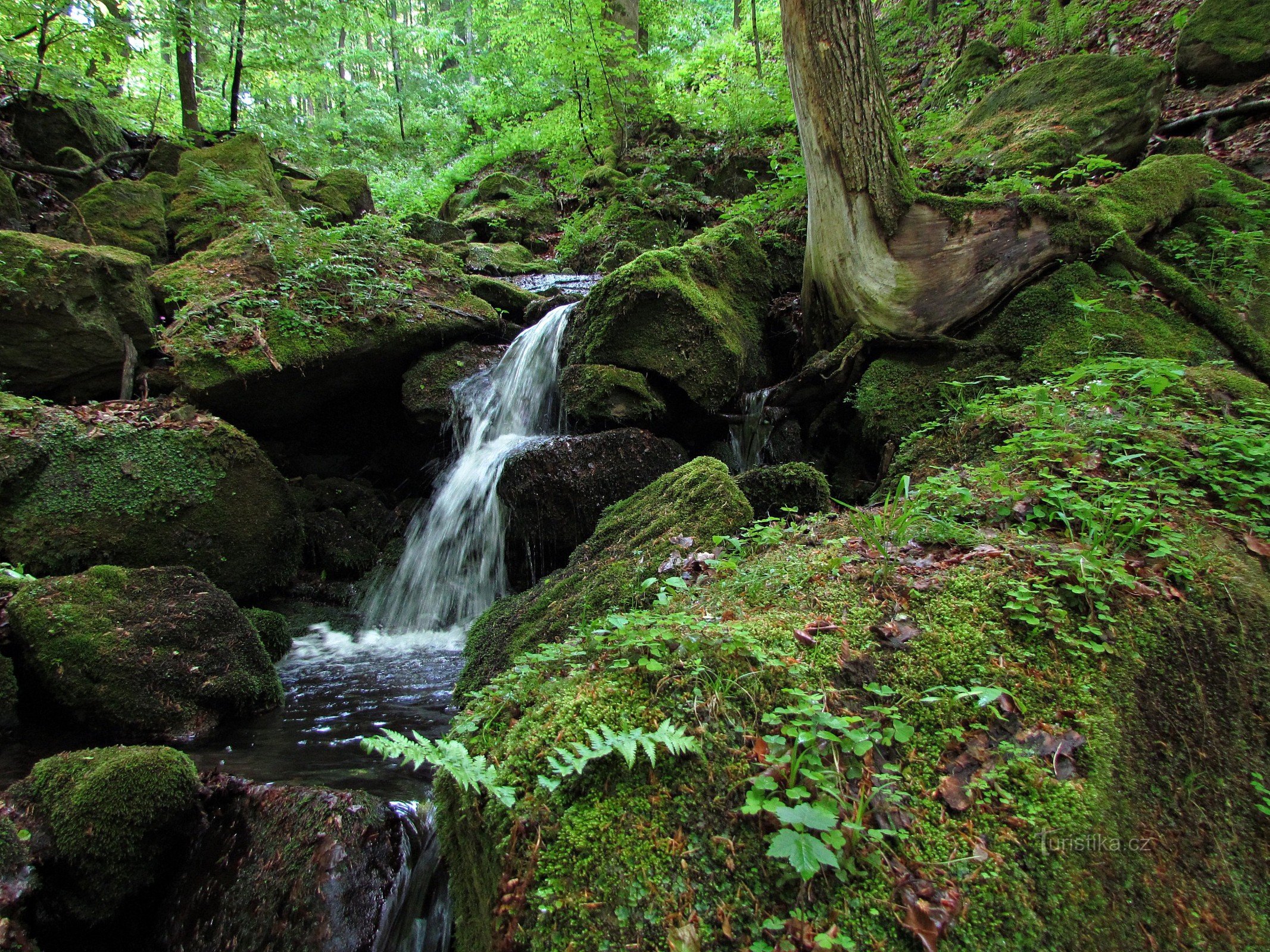 Dietro le bellezze rocciose di Bludný e le cascate di Bystřice