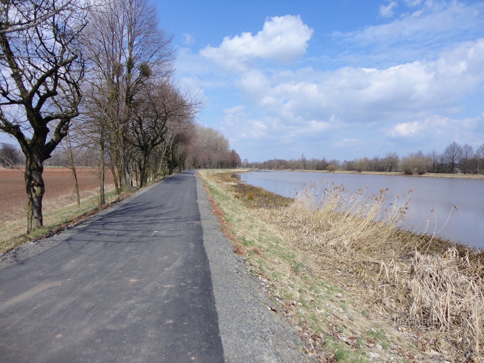 derrière le barrage de Smiřicky