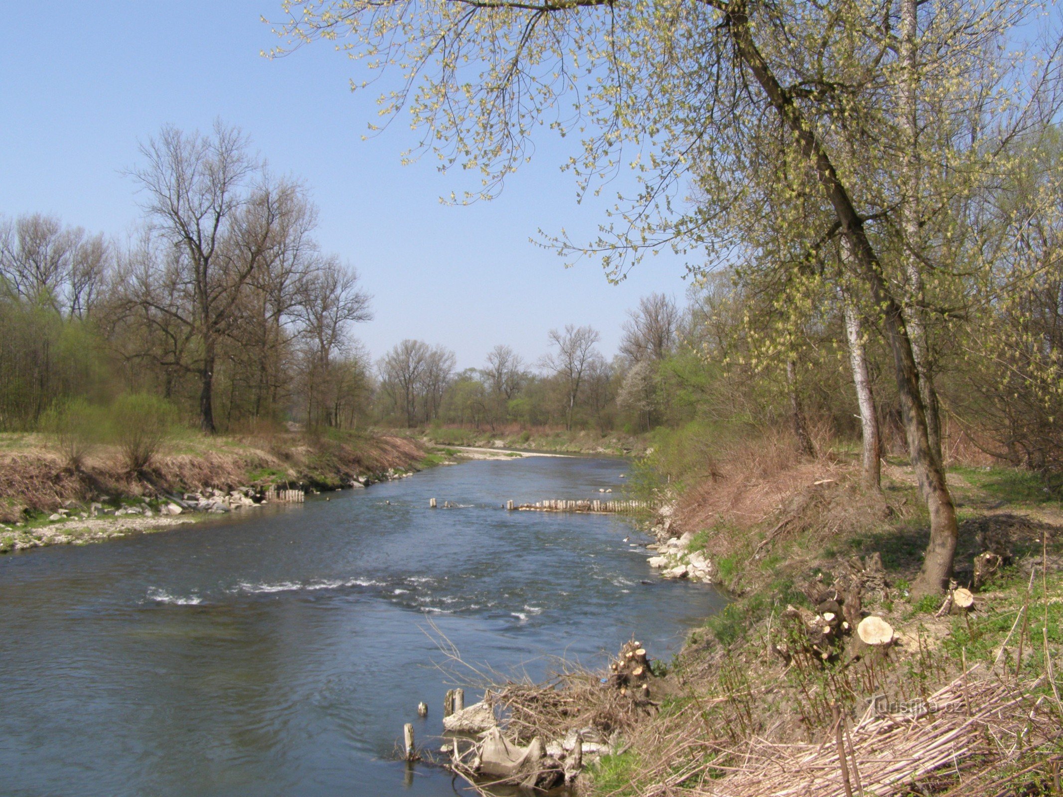 Za snježne kapljice u Věřňovice