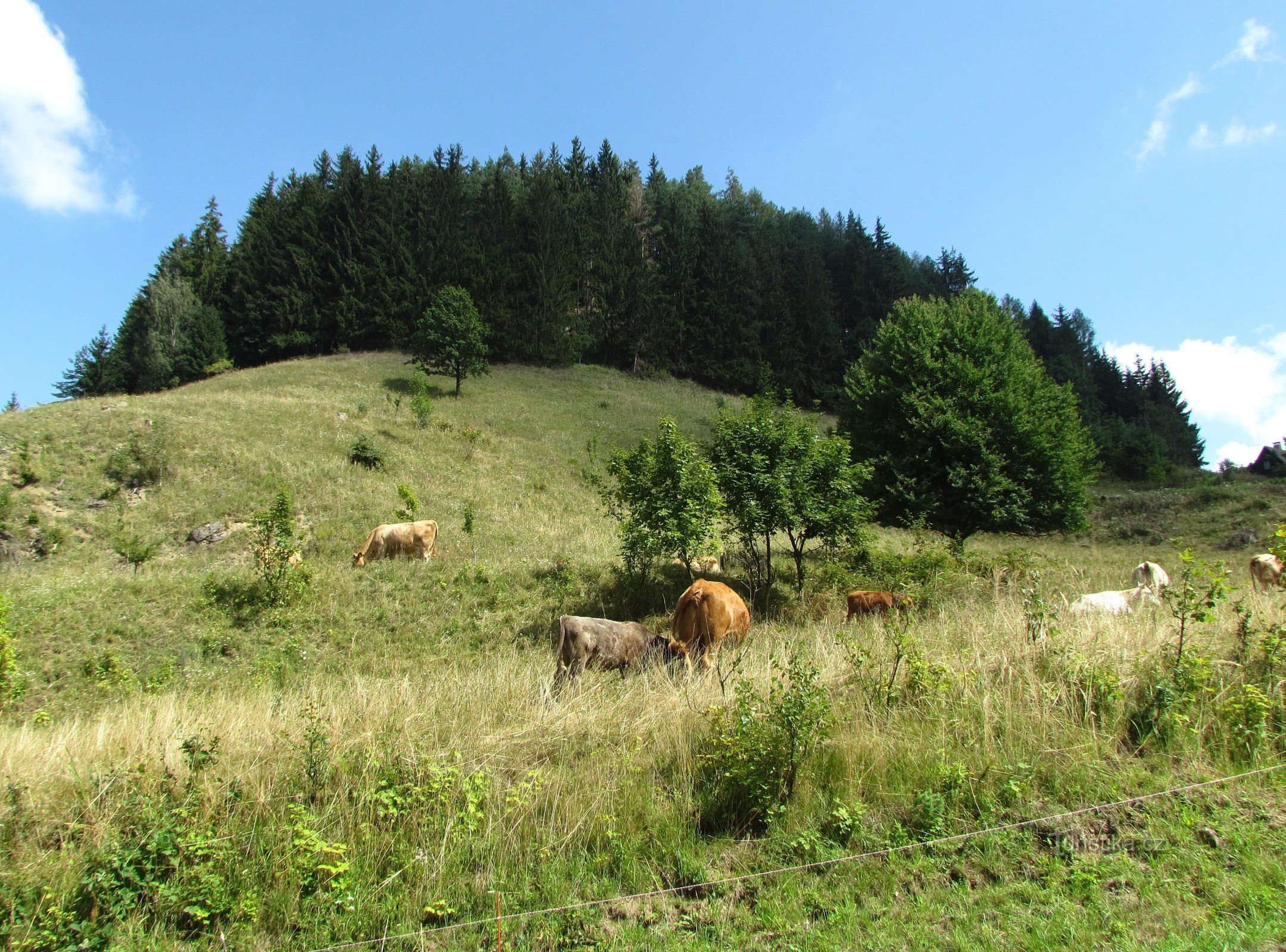 Bag Čechers hemmelighed - frosthytter