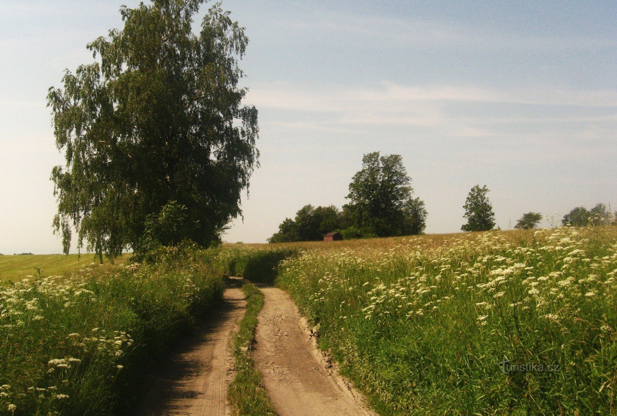 Za Třemeškem