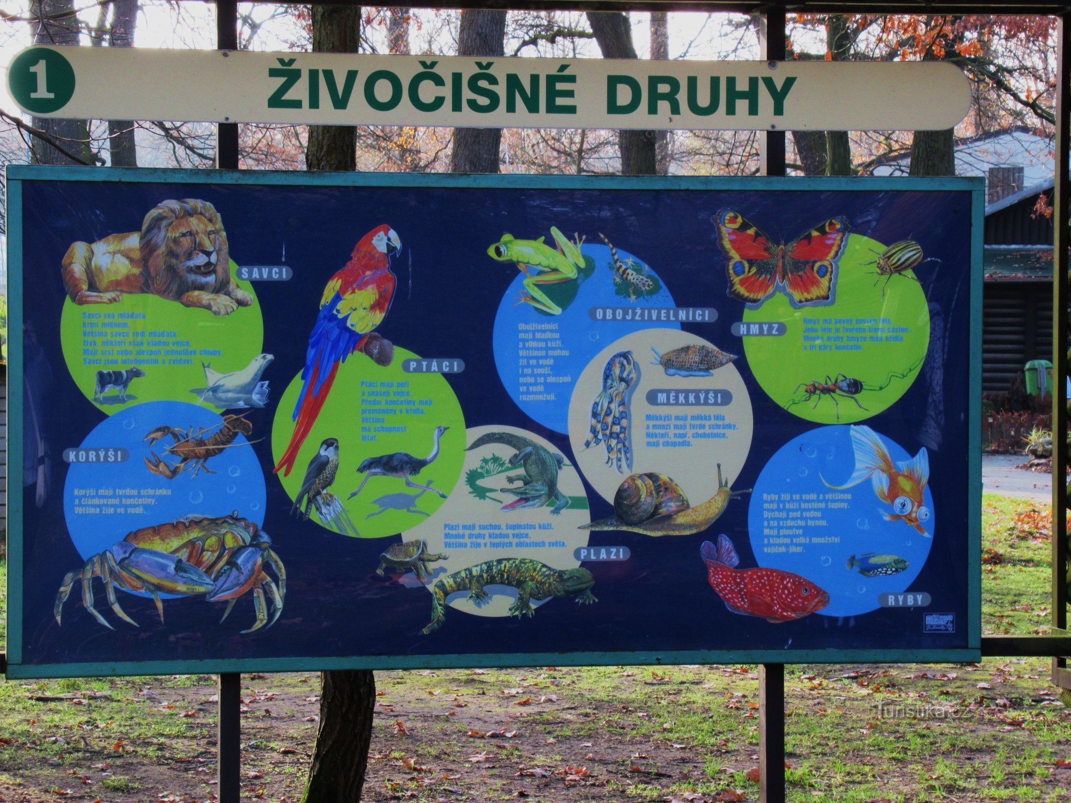 Para animais para o ZOO em Hodonín