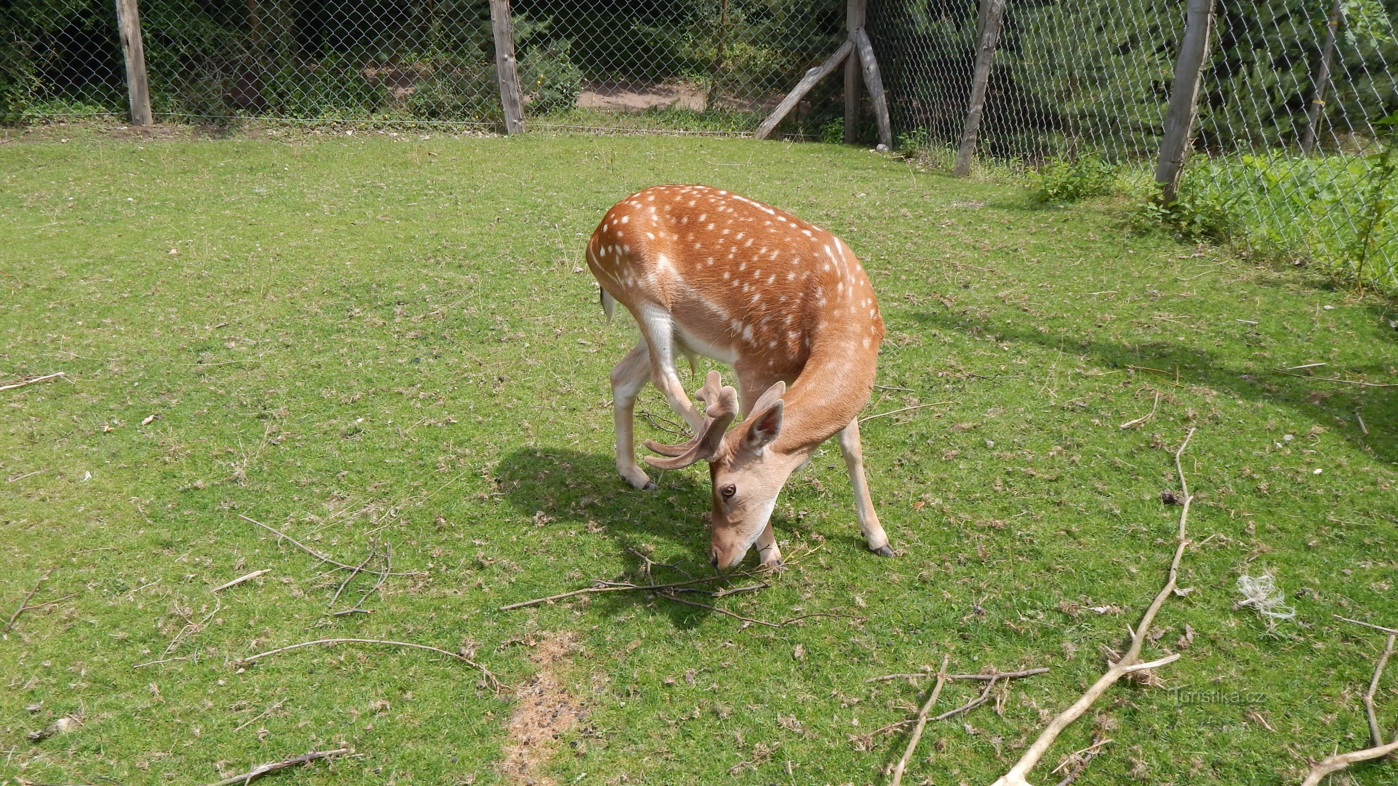 ニンブルク近くの MIRACULUM アミューズメント パーク