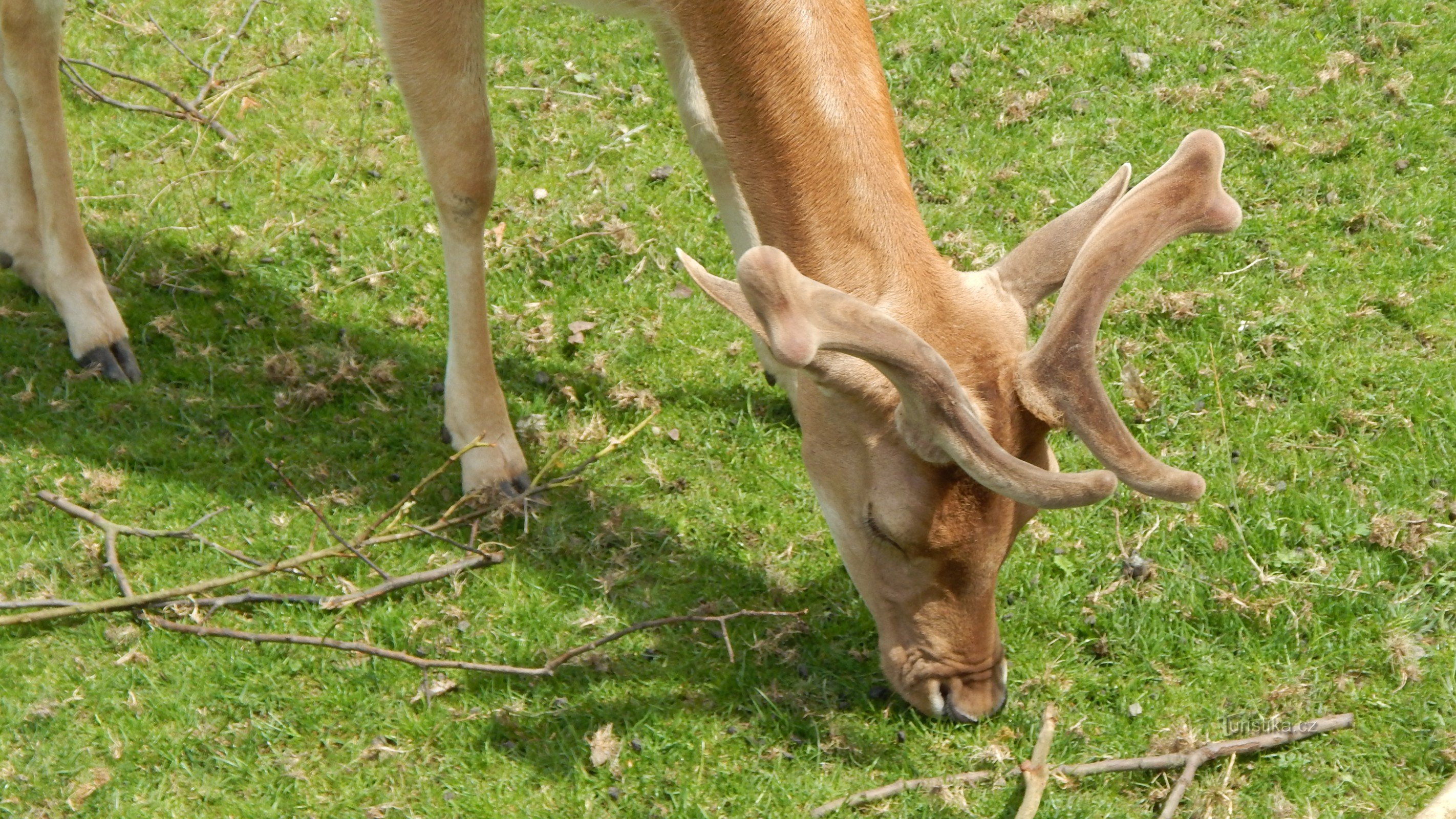 Vergnügungspark MIRACULUM in der Nähe von Nymburk