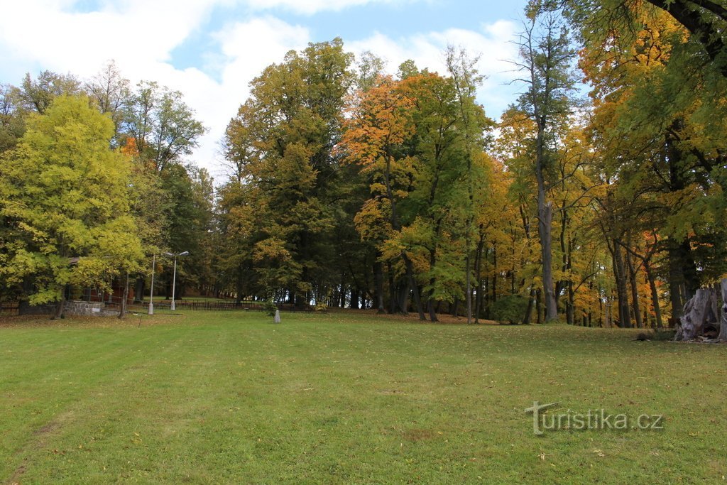 Schuss aus dem Park