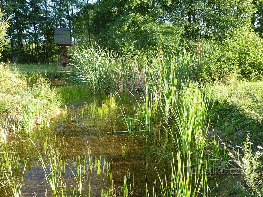 Podmoklany kikkerreservaat