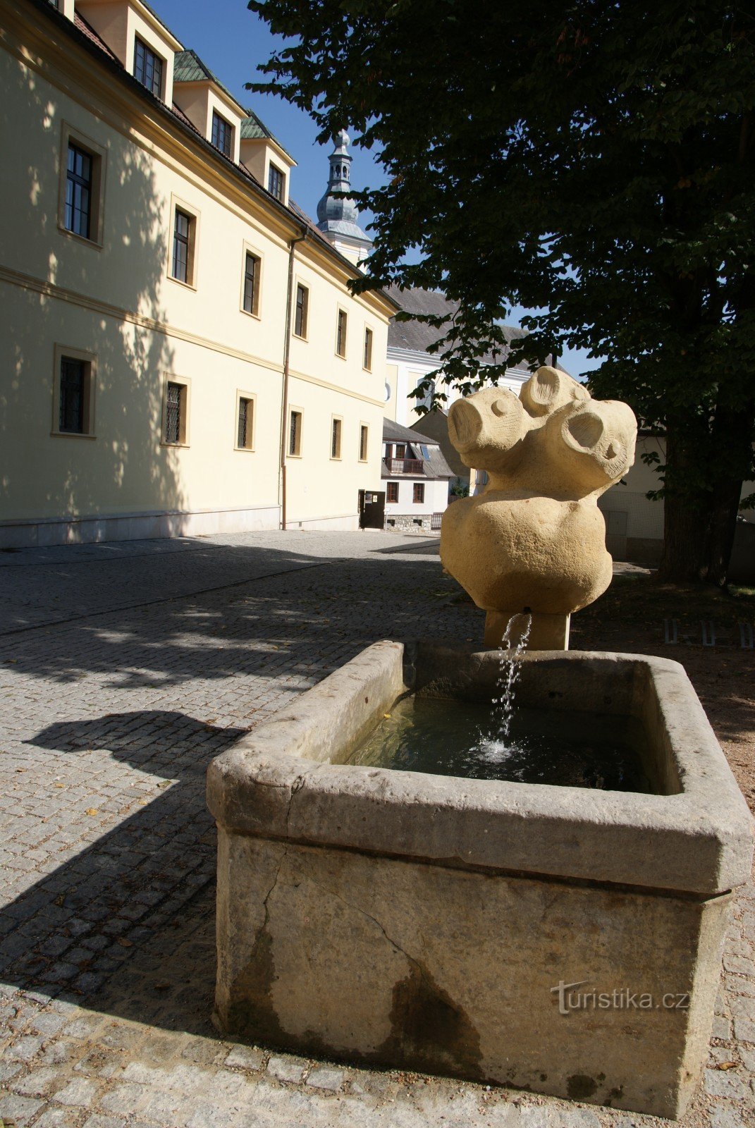 Zábřeh - fontana di carpe