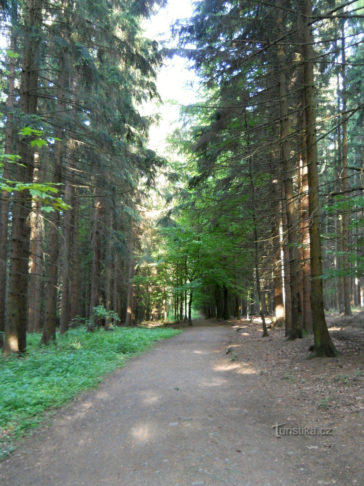 Початок шляху Меттерніха