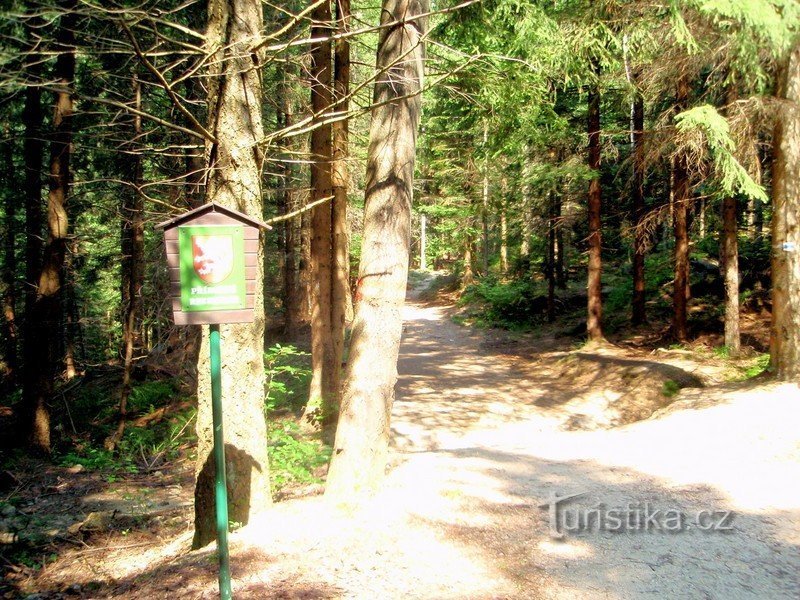 Le début du sentier