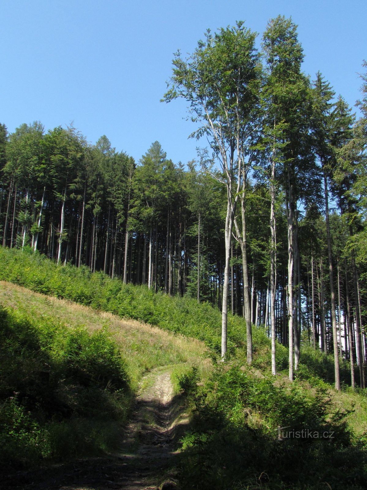 początek wspinaczki nad główną drogą