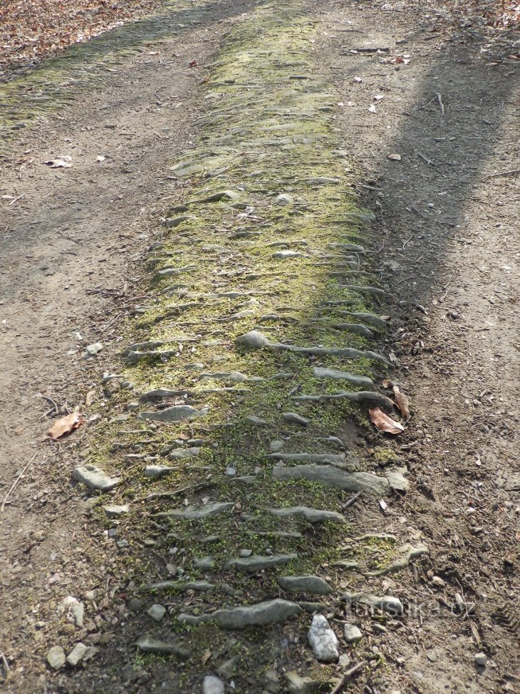 Un morceau de route de broussailles bien conservé