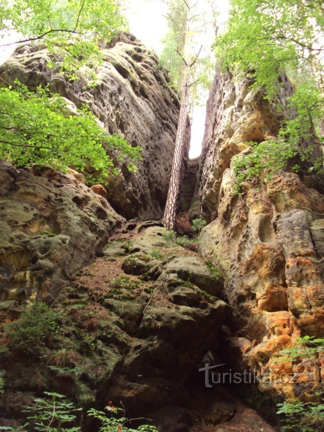 comienzan a aparecer las primeras rocas