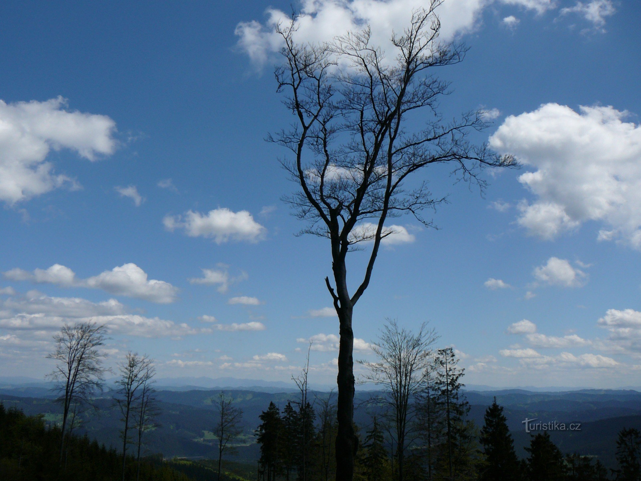 来自 Kyčerová 的 Zadní hory 和 Fatra