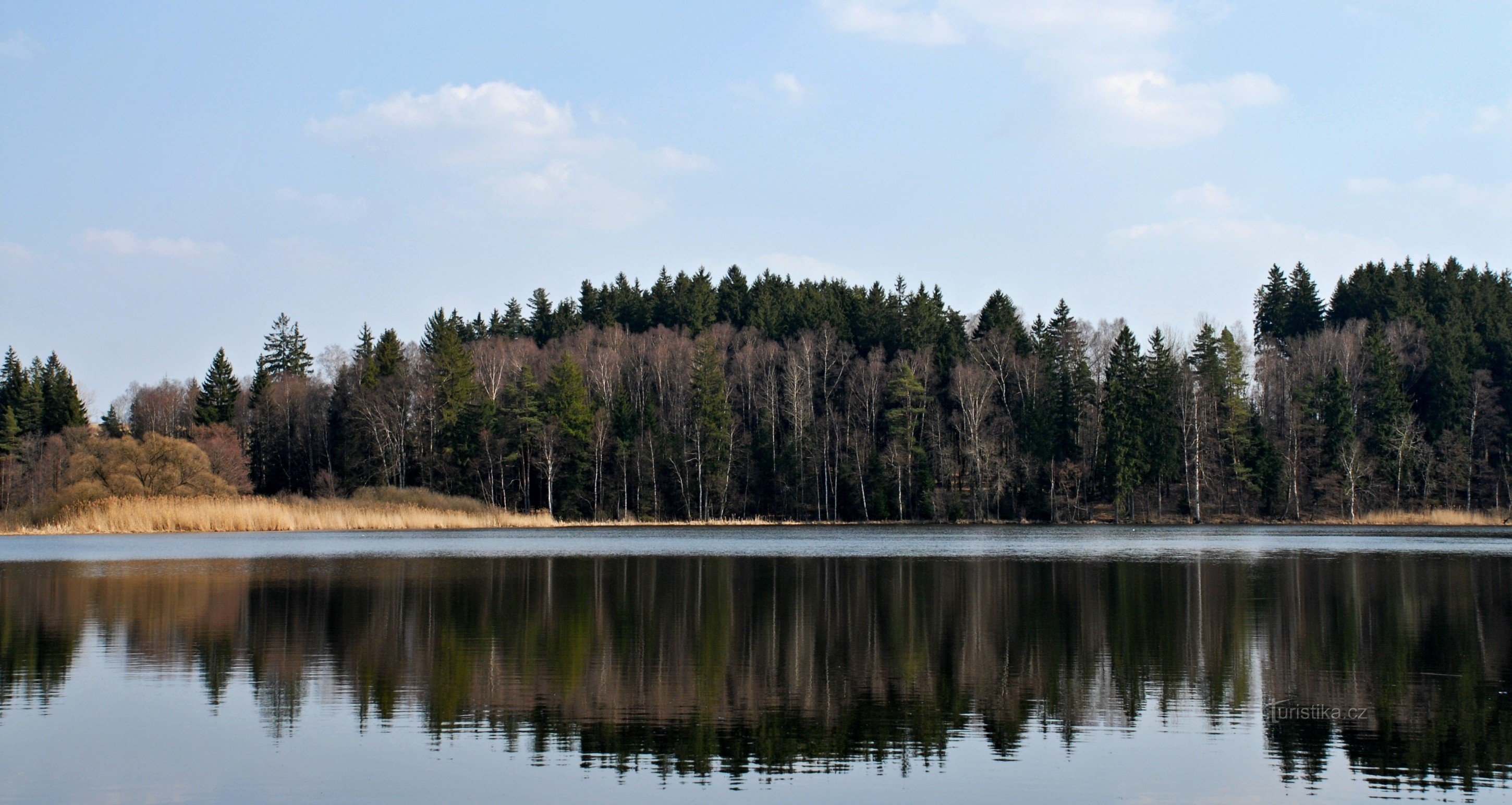 Hinterteich - ein Naturdenkmal