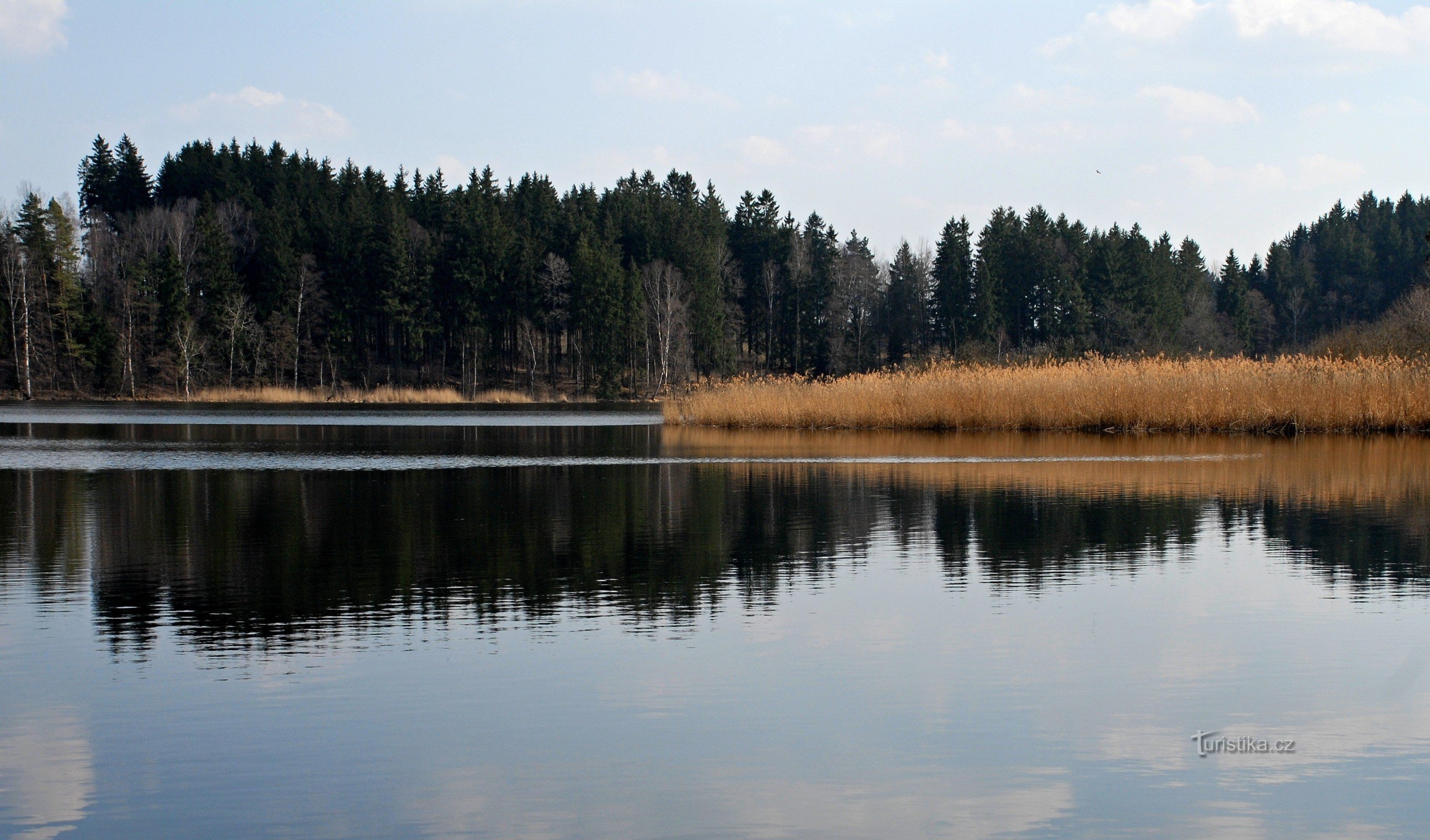 Back pond - un monumento naturale