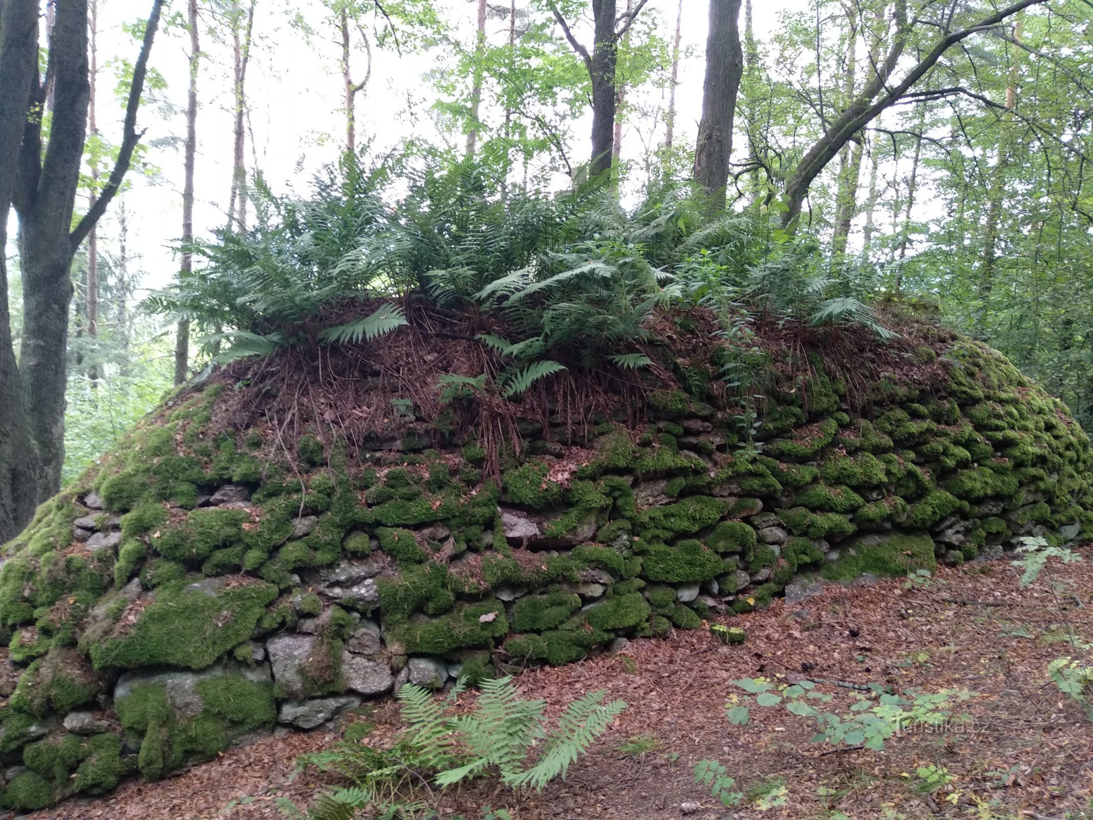 the back side of the mound