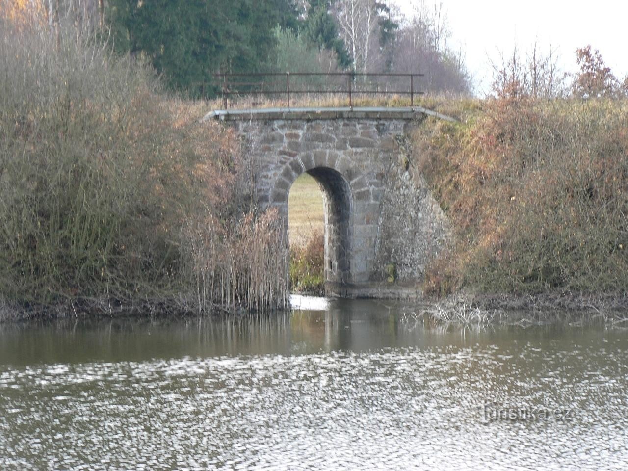 Floresta mortuária, ponte sobre a lagoa