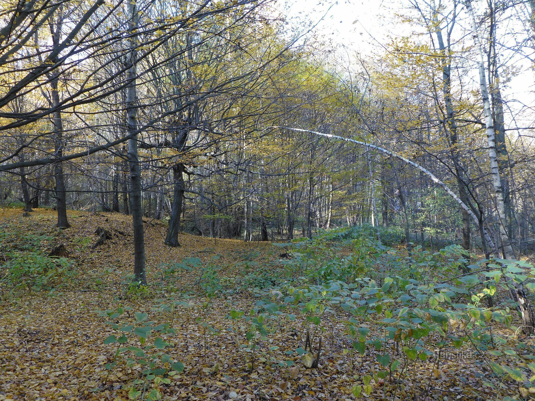 La mystérieuse colline de Standl.