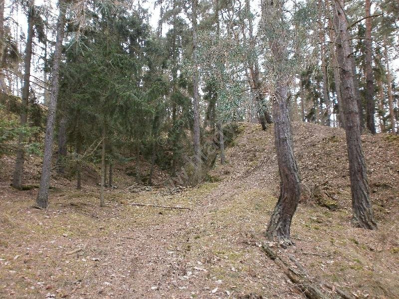 Záhorsko