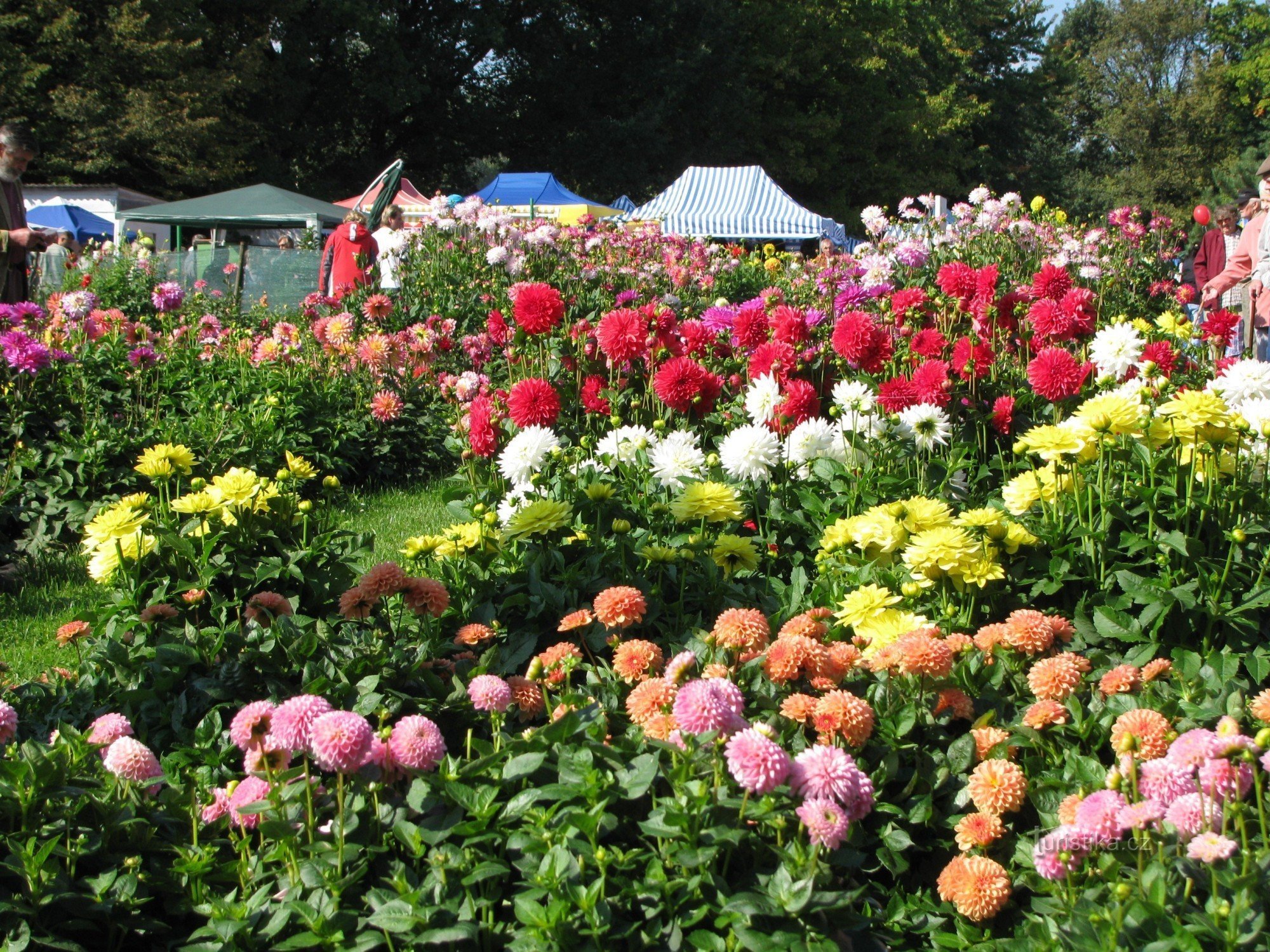 Czech Garden Litoměřice - μια εκδήλωση όχι μόνο για κηπουρούς