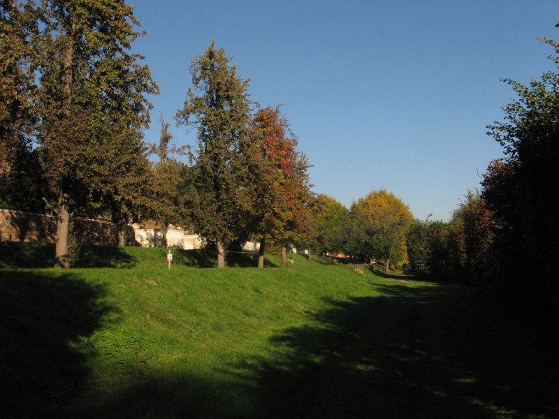 Zahrada kláštera v Břevnově (Markétská zahrada)