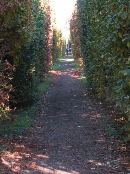 Vrt samostana v Břevnovu (Market Garden)