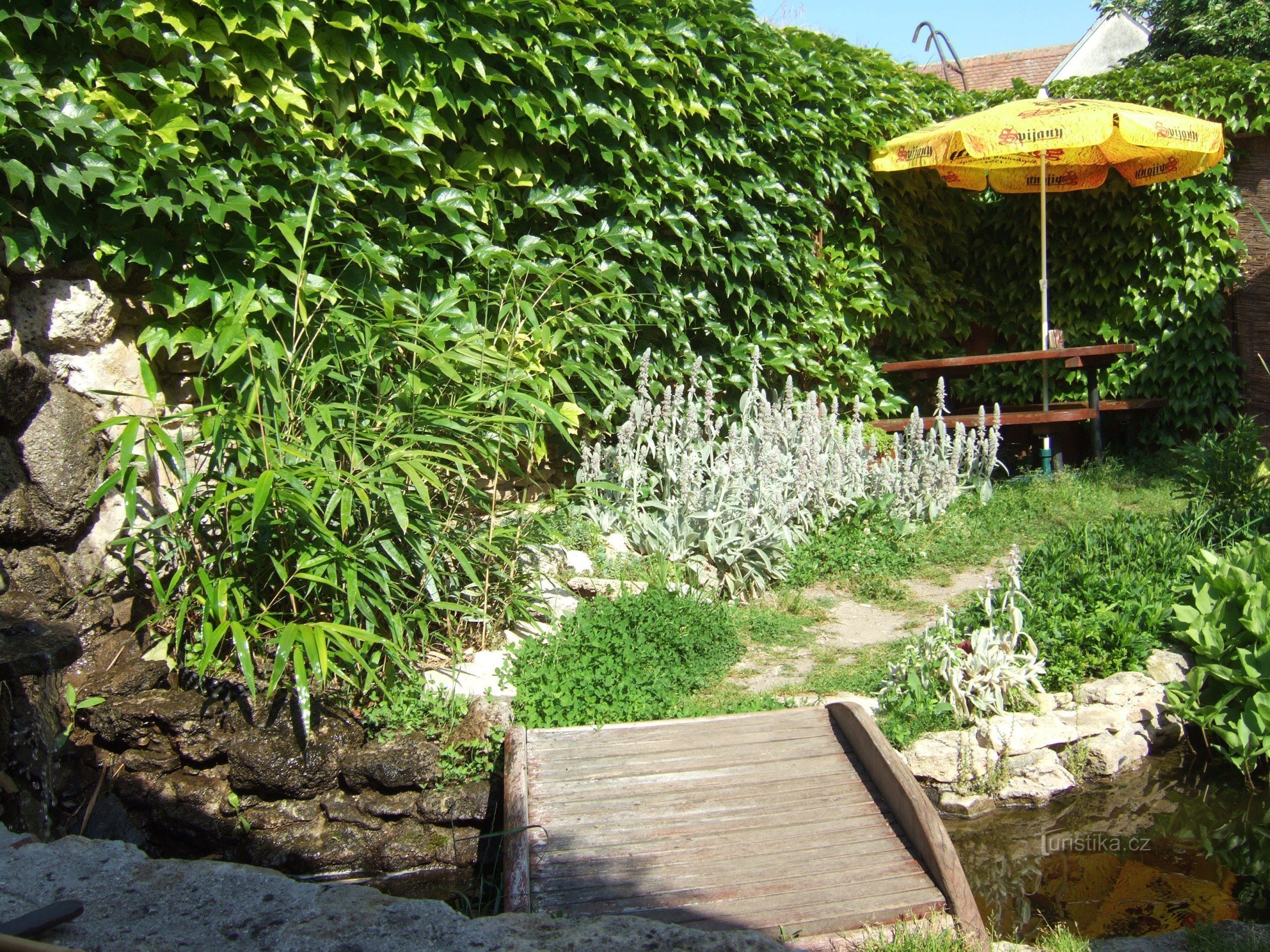 сад зі ставком