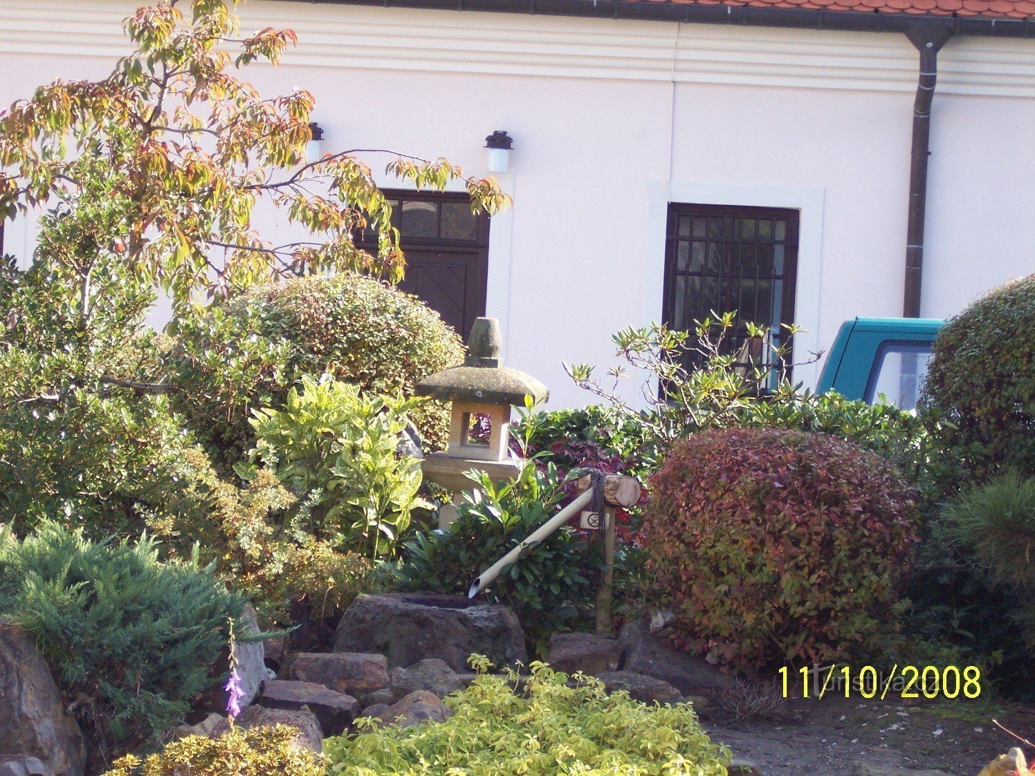 garden with trees