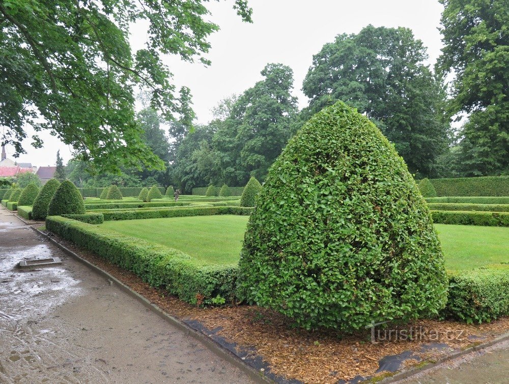 jardin pendant les pluies de juin