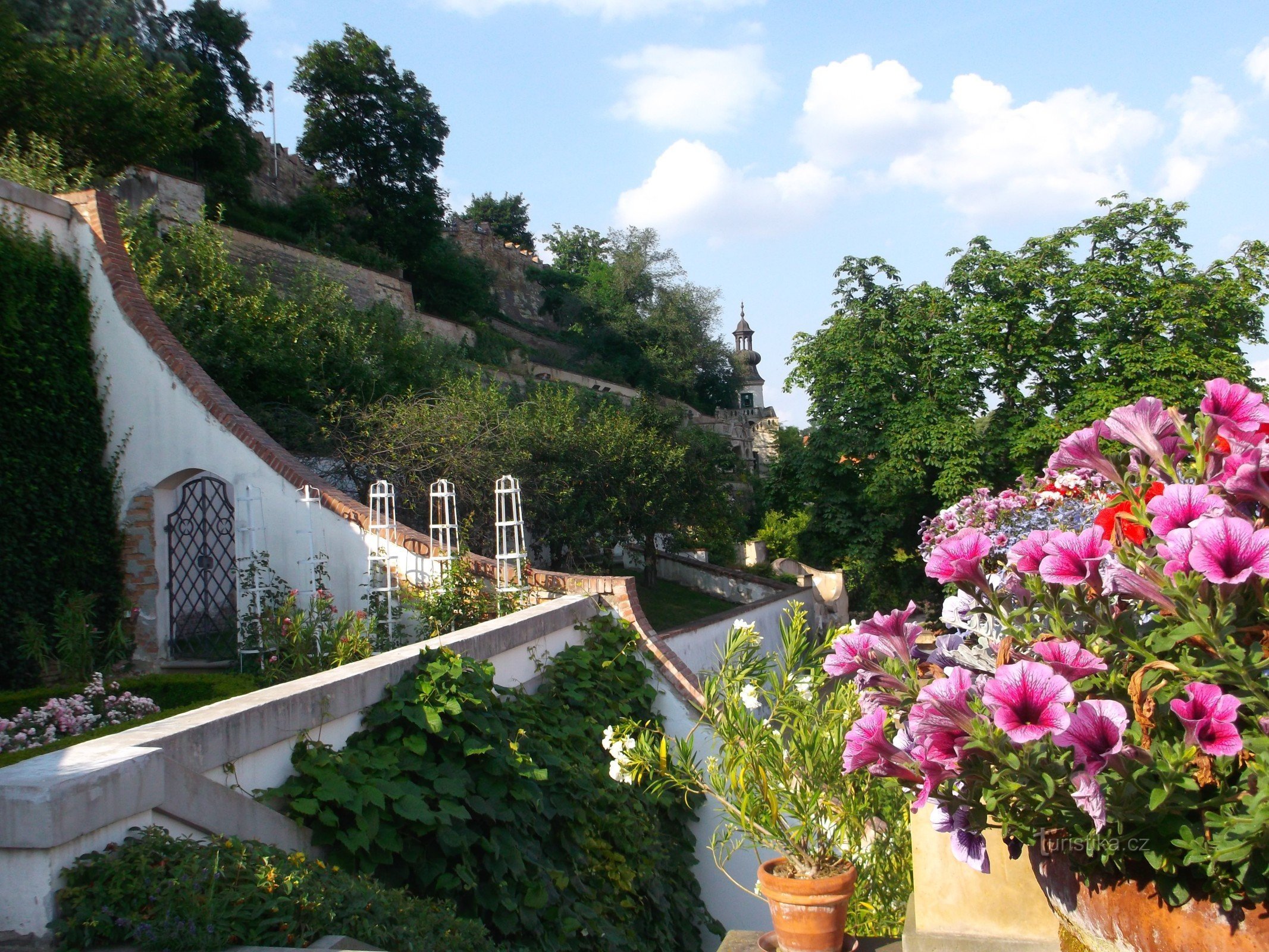 jardim decorado com flores