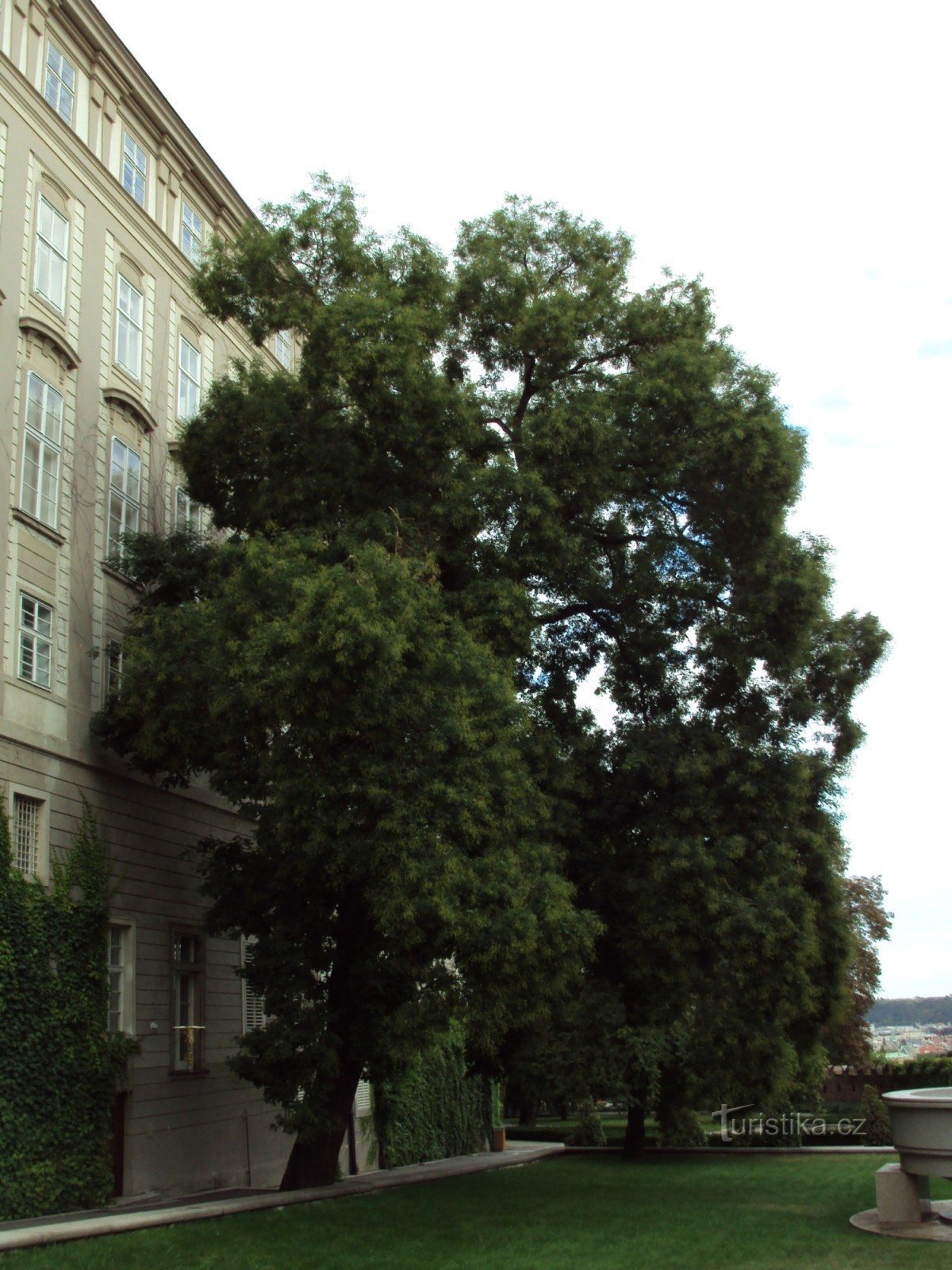 Jardins do Castelo de Praga - desta vez o Jardim do Paraíso