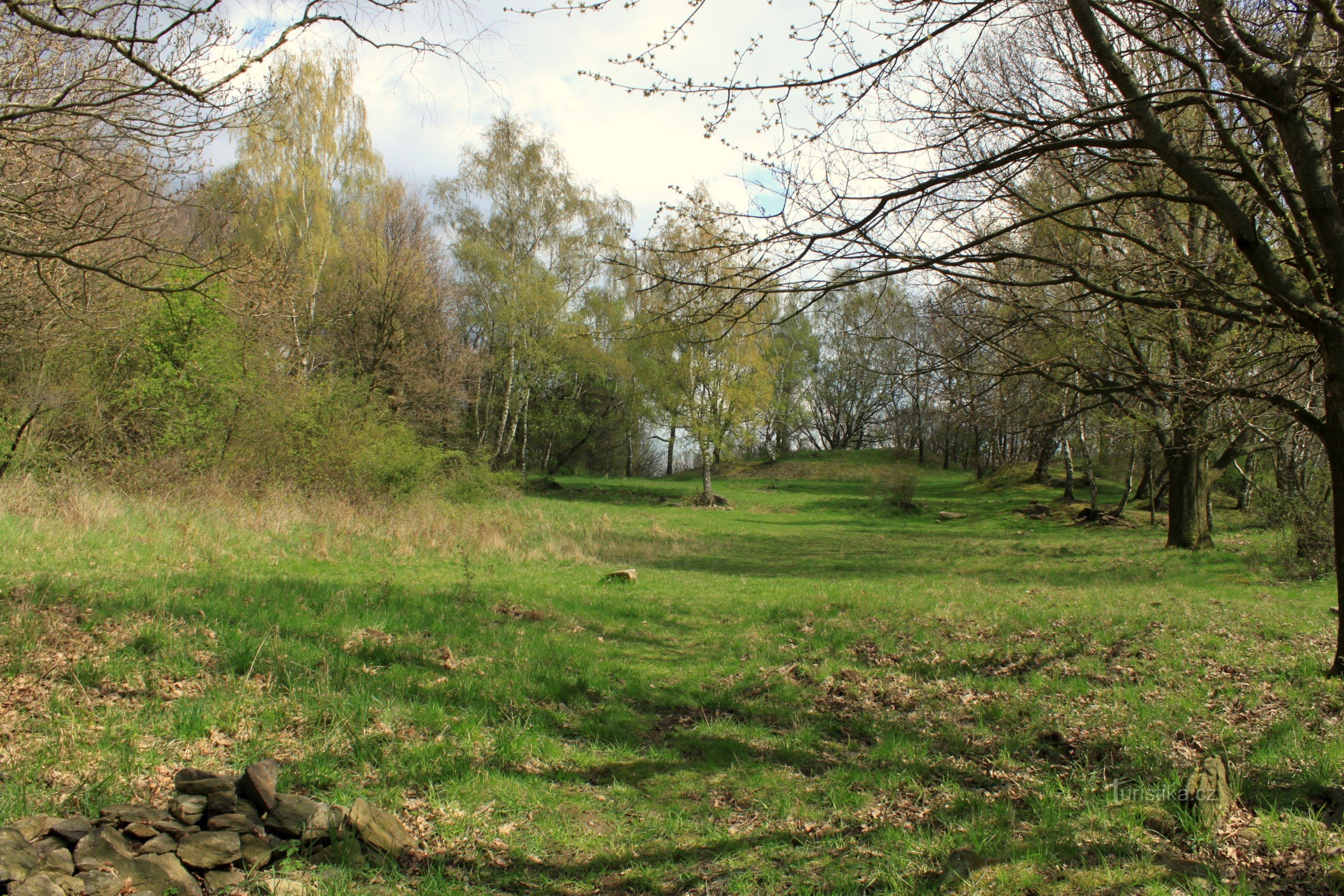 Hare, eller Libušas dans