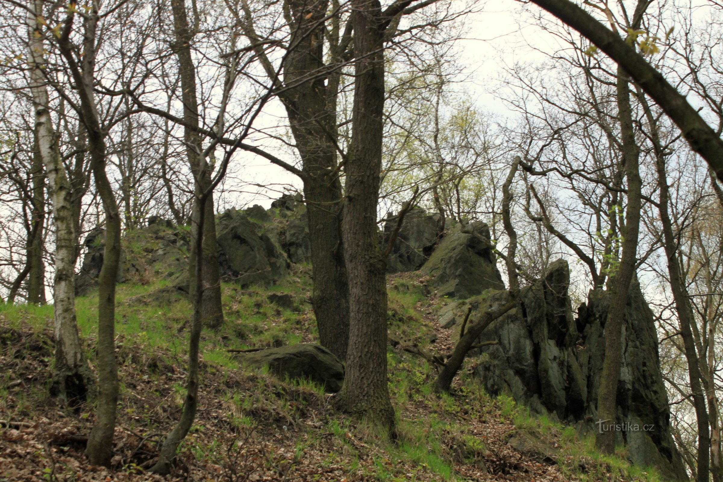 Hare rock from the east