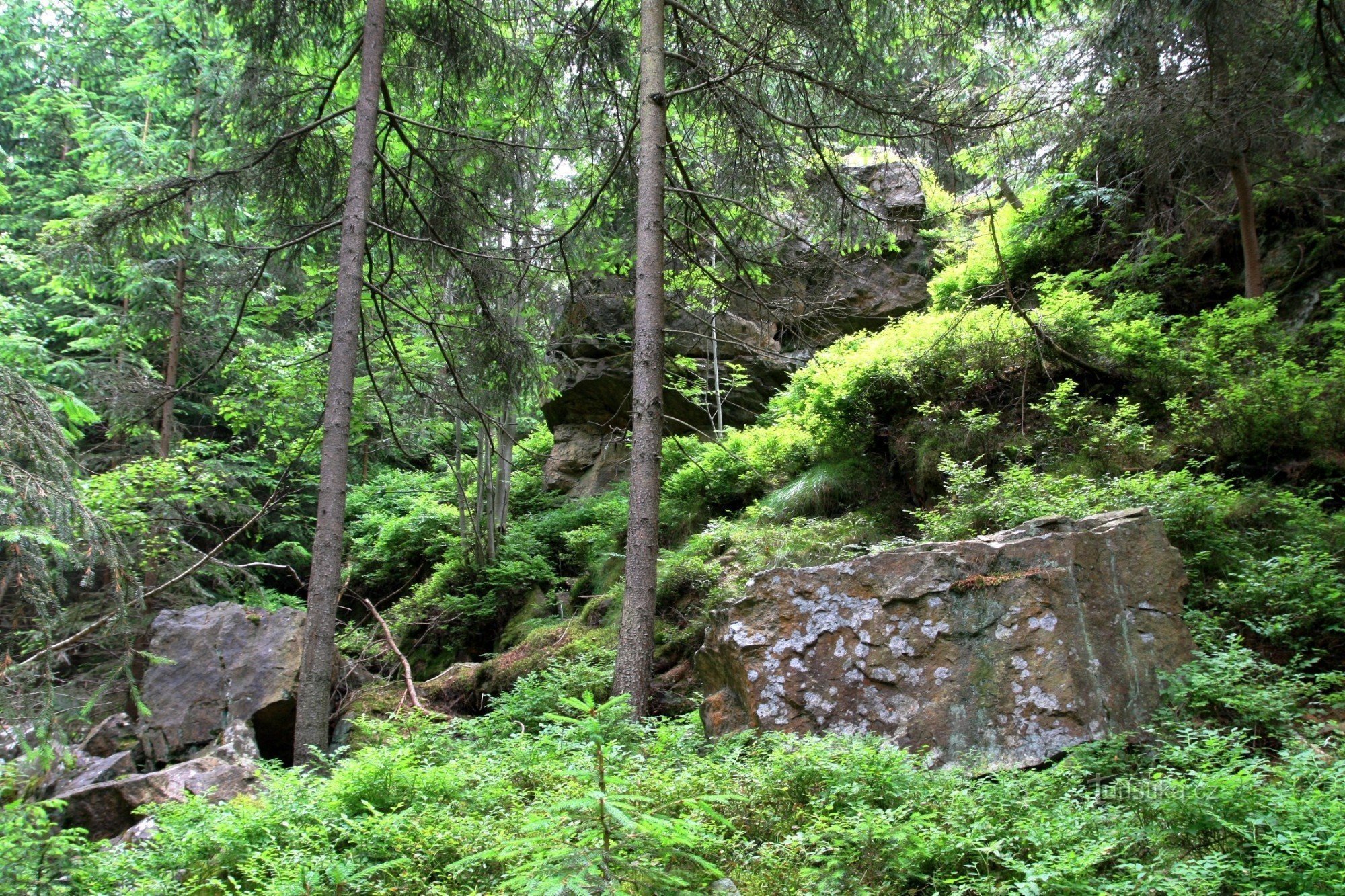 Jaječí skok - természetvédelmi terület