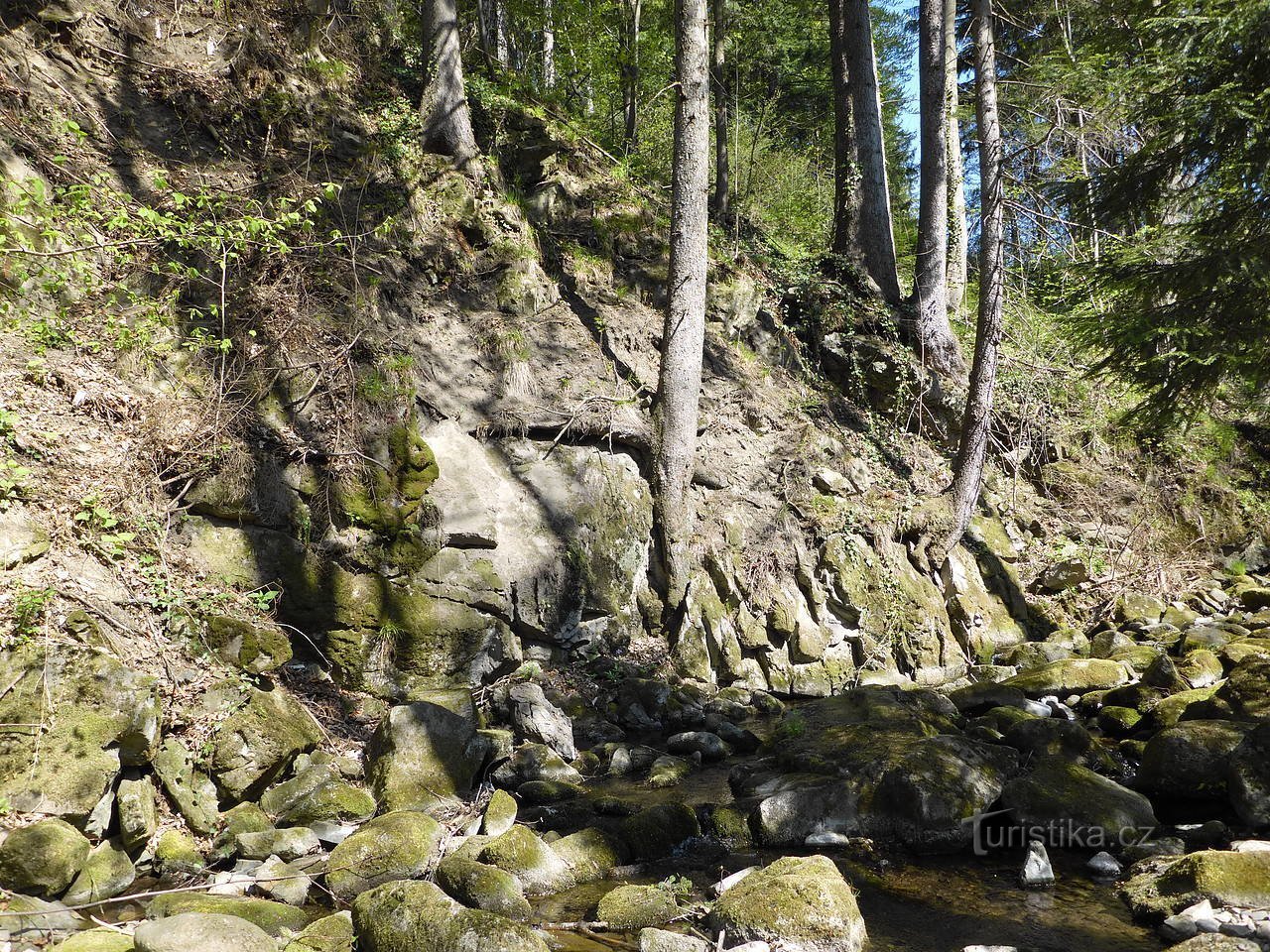 Ciekawa martwa natura potoku Sepetný.