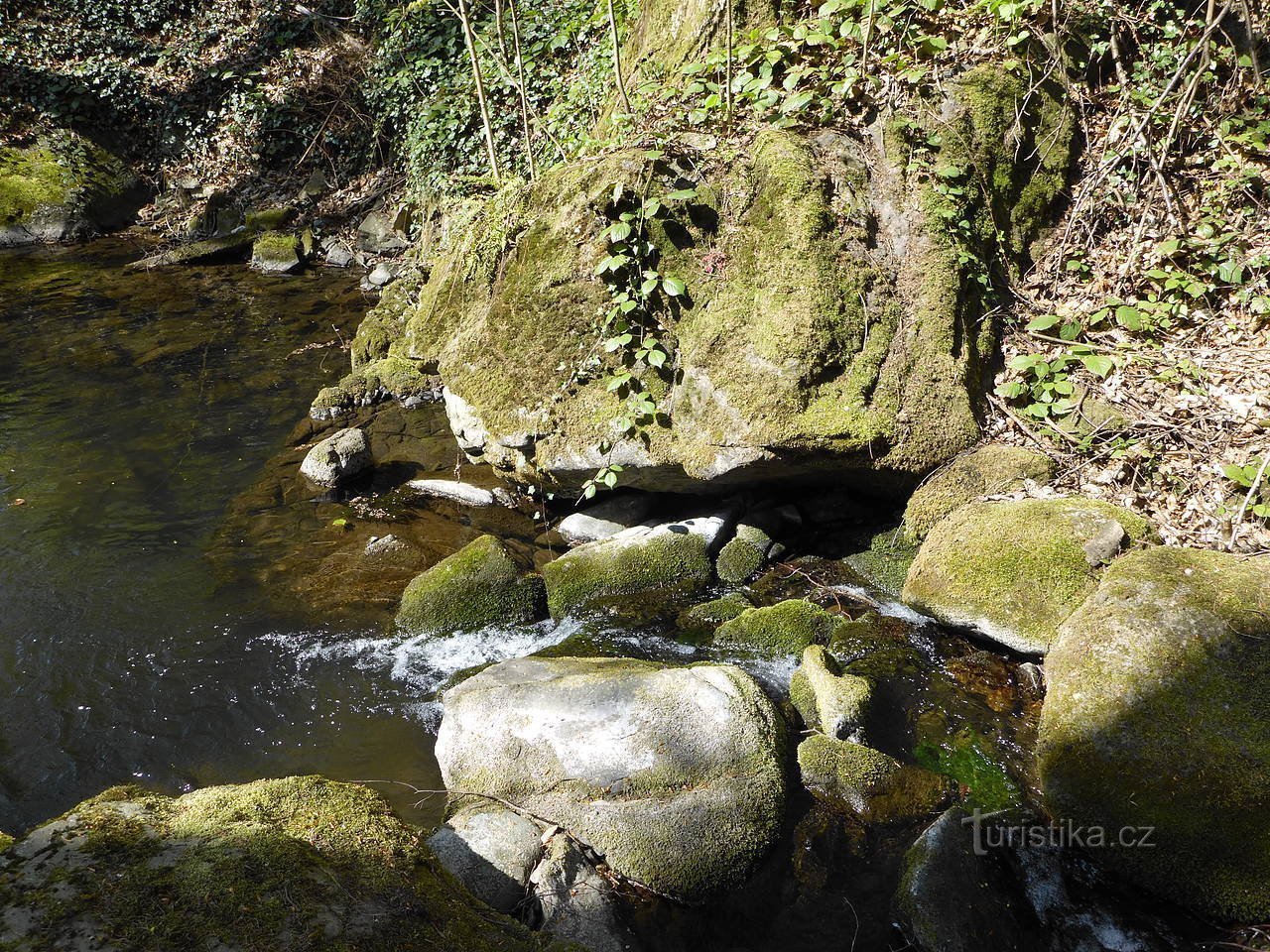 Une nature morte intéressante du ruisseau Sepetný.