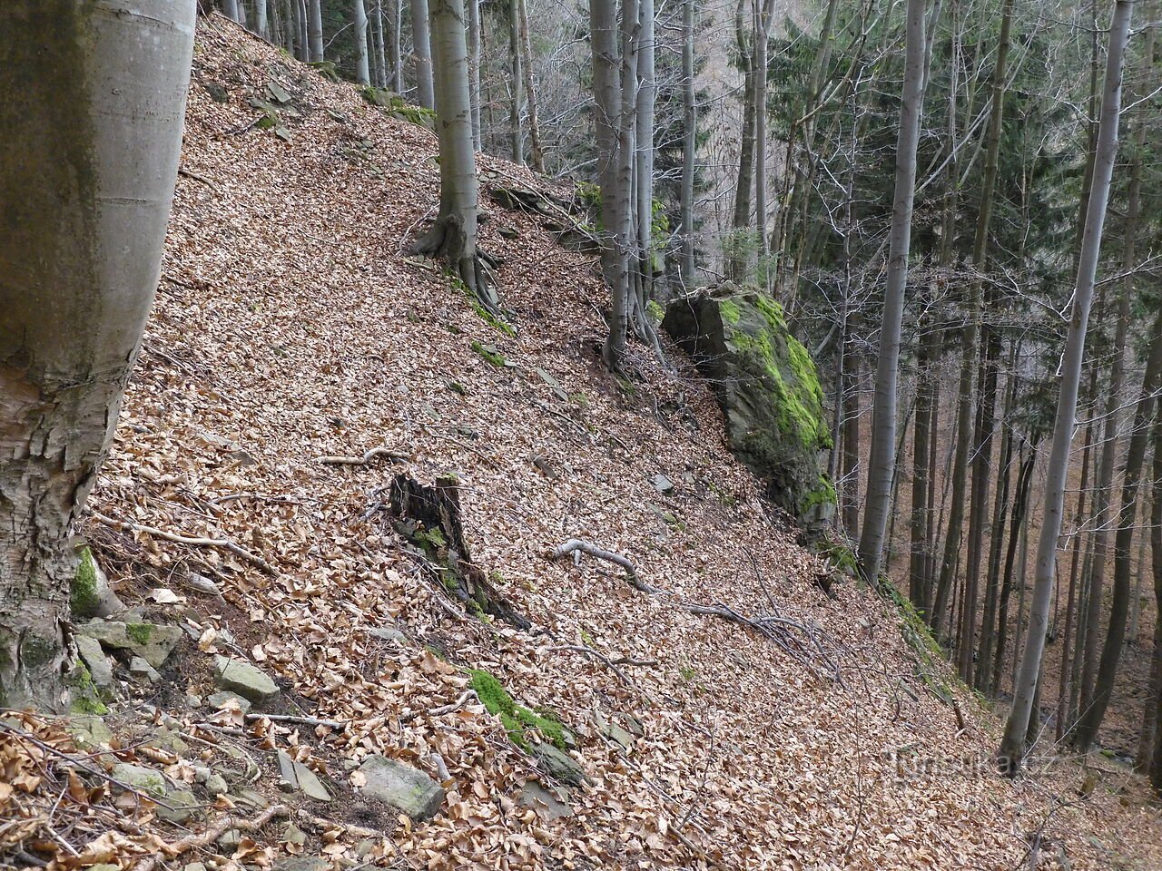 Formațiuni interesante de stâncă și piatră la nord de creasta Sulov - Mosty u Jablunkova, partea 4.