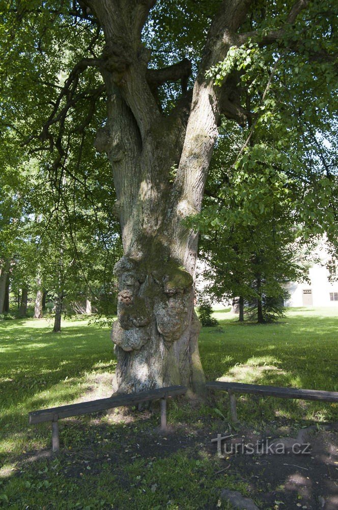 Zanimiv je tudi park