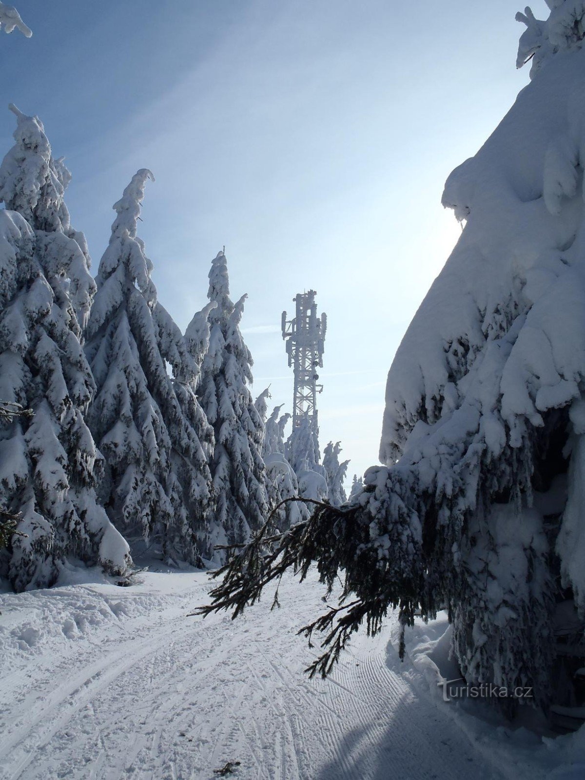 Проклятый - 28.1.2012 января XNUMX г.