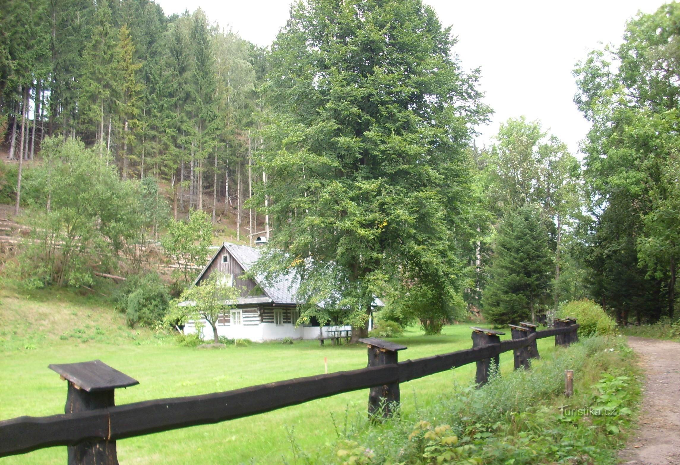 A corner with a log