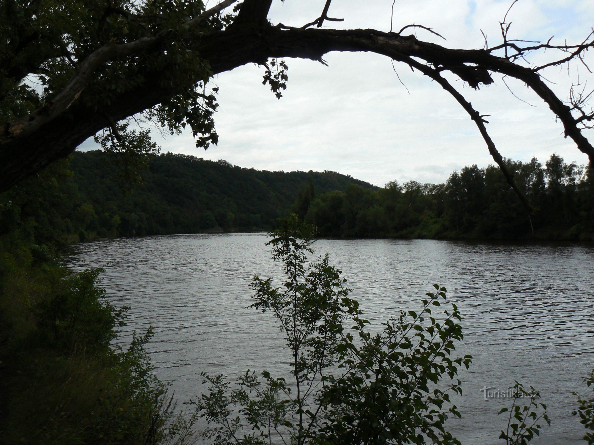 Bends of the Vltava