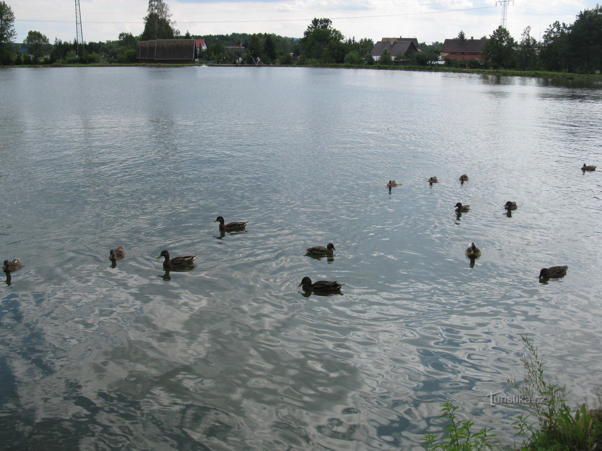 Zákupy - koupaliště