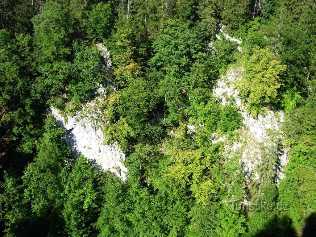 Wooded rock wall of the Desolate Gully