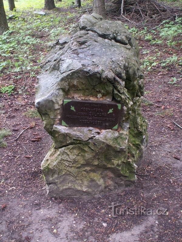 pedra de Zaltman