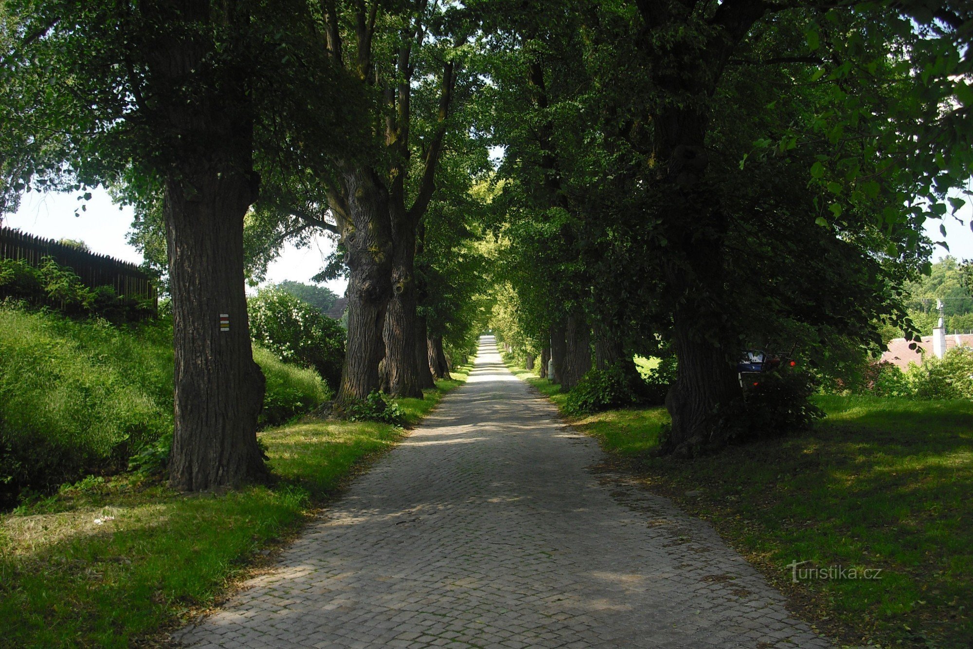 O caminho do castelo ao longo do beco de tília.