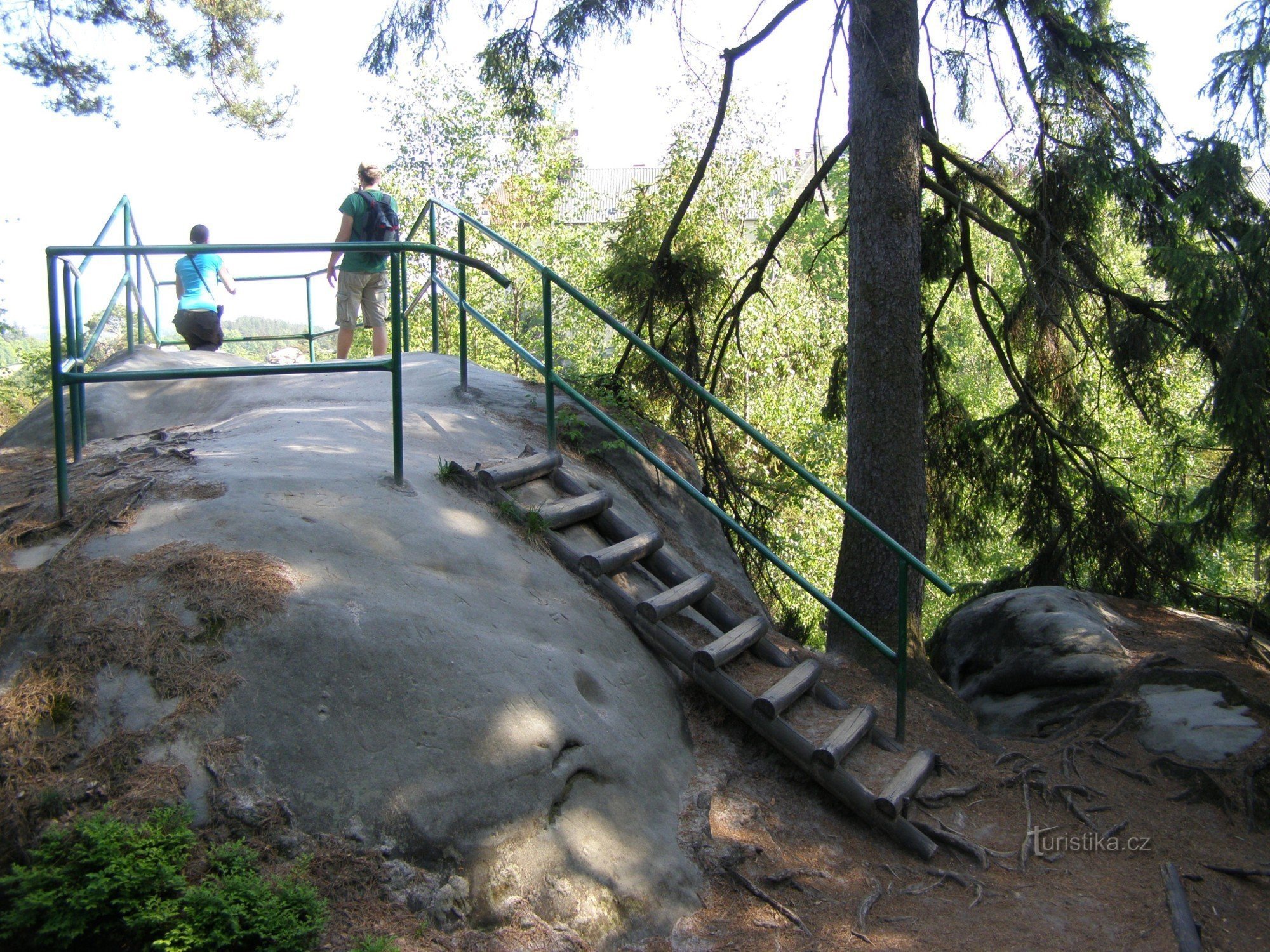 Vista del castillo