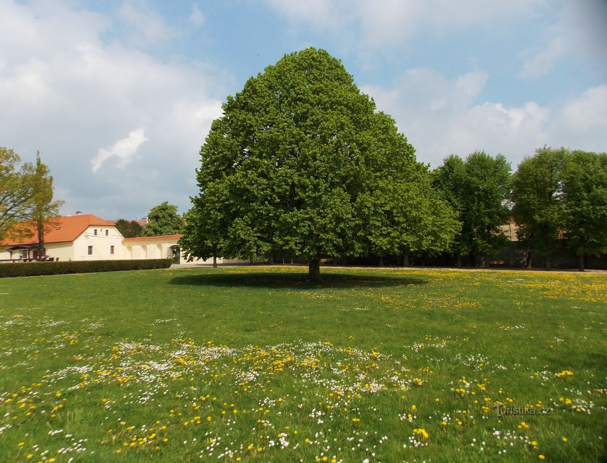 Giardino del castello