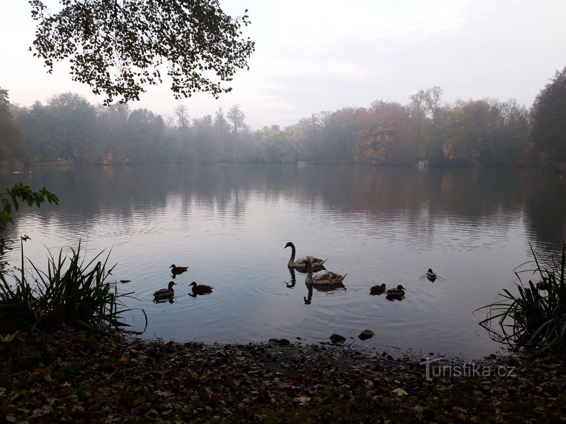 Schlossgarten im Kurort Teplice